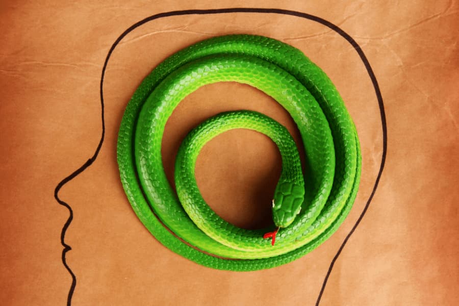 tratamientos celos patológicos